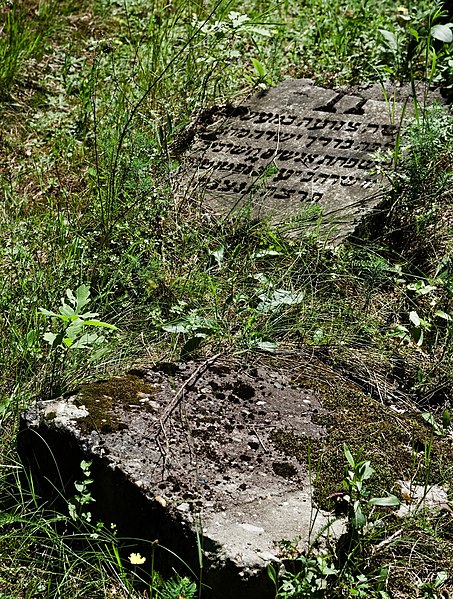 File:Jewish cemetery Ulanow IMGP4872.jpg