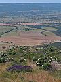 Montes de Toledo