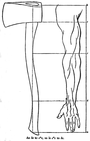 American backwoodsman's axe in proportion to the human arm