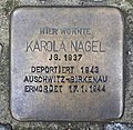 image=https://commons.wikimedia.org/wiki/File:Karola_Nagel_Naujokat.JPG