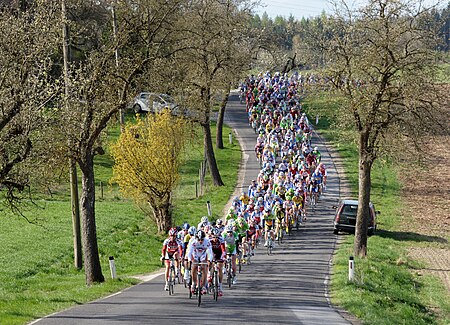 Kirschblütenrennen 2011 Hauptfeld Elite