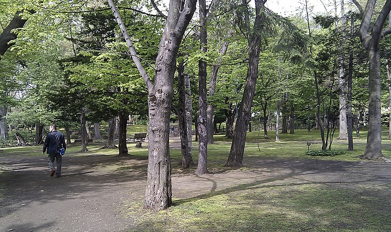 File:Kita 2 Jonishi, Chuo Ward, Sapporo, Hokkaido Prefecture 060-0002, Japan - panoramio (1).jpg