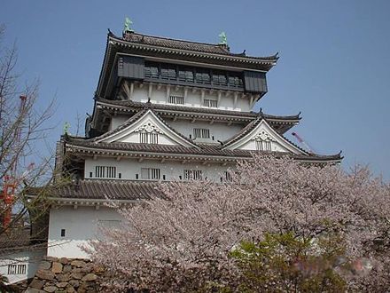 Kokura castle and cherry blossoms (sakura)