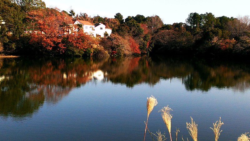 File:Kunai, Arao, Kumamoto Prefecture 864-0004, Japan - panoramio.jpg