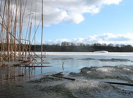 Löcknitzer See 03 03 2010 17a