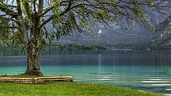 Lago Bohinj (11208617155).jpg