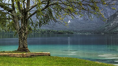 Slika:Lago Bohinj (11208617155).jpg