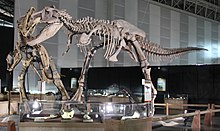 Restored skeleton mounted as attacking a juvenile Shantungosaurus Laika ac Dino Kingdom 2012 (7882287974).jpg