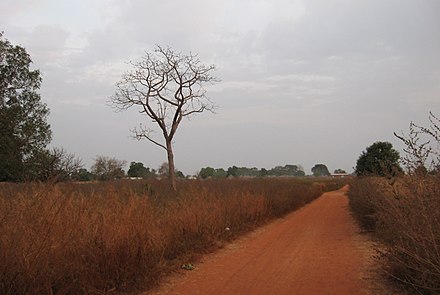 Laterite road near Kounkane, Upper Casamance, Senegal