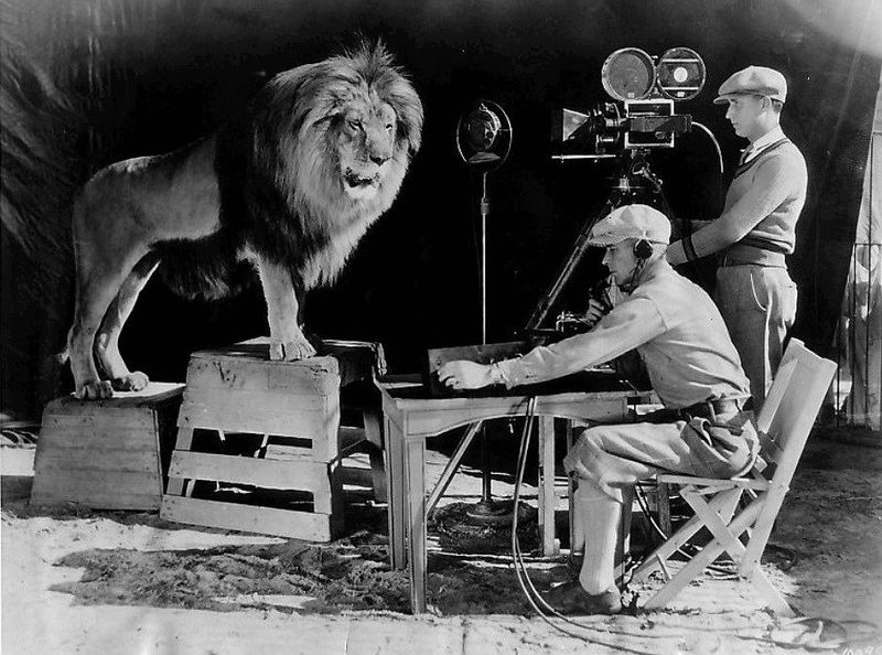 tv the end mgm lion