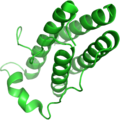 Leptin