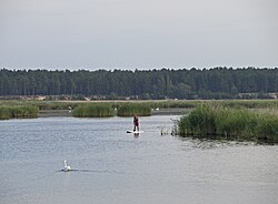 Буллучиемдегі лиупа