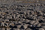 Thumbnail for Limestone pavement