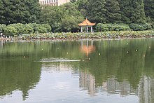 ファイル:Lotus_pond_of_Honghu_Park40.jpg