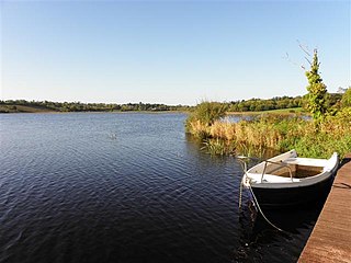 <span class="mw-page-title-main">Lough Scur</span> Lake in south County Leitrim, Ireland