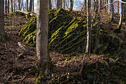 Deutsch: Basaltformationen im Naturschutzgebiet Bacher Lay bei Bad Marienberg