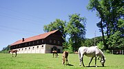 Vorschaubild für Pferdehaltung