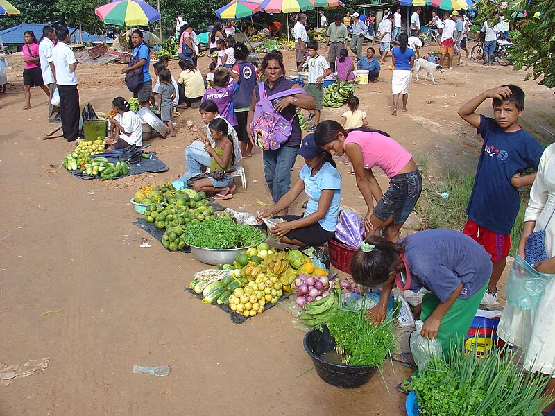 Fájl:Market-at-Amazonas-shore.jpg