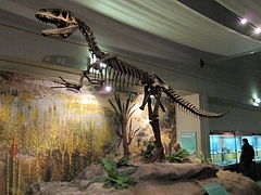 Megalosaurus, World Museum Liverpool.jpg