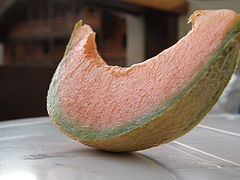 Melon t.JPG