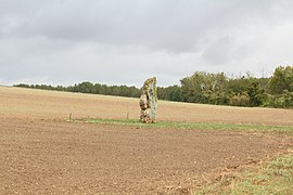 Vue d'ensemble du site.