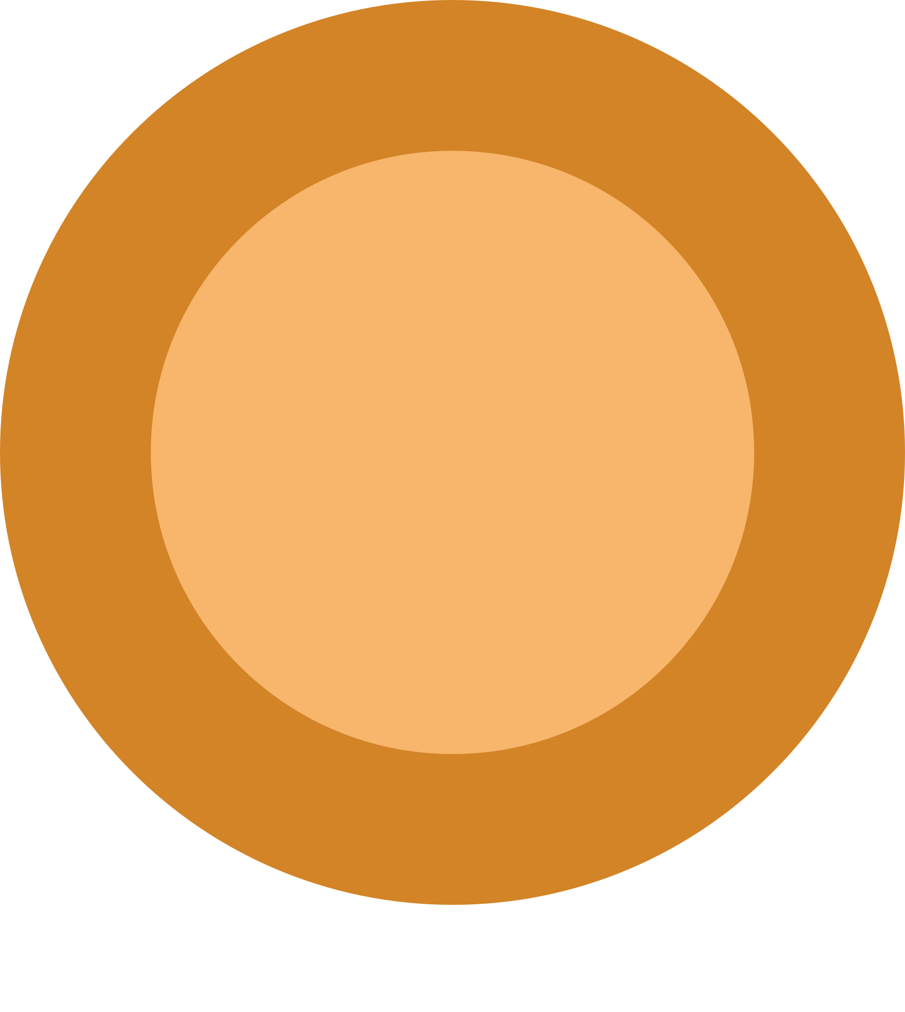 1807px-Metabolic_metro_orange.svg.png