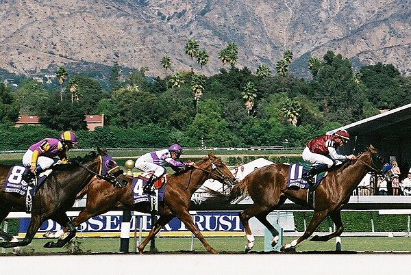 Midshipman in the 2008 Juvenile