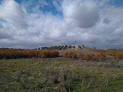 Mirado Cola del Embalse de Bornos - IMG 20191201 123505 627.jpg