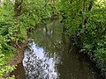 * Nomination The river Mistel at the Zeckenmühle in Mistelbach --Ermell 07:41, 19 May 2023 (UTC) * Promotion  Support Good quality. --Palauenc05 11:33, 19 May 2023 (UTC)