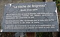 La vache de Brigneau: informations.