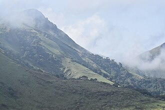 Nimba Mountain Nature Reserve in the Nimba Range, which is a mountain range in the Guinea Highlands. Mount Nimba - cloud forests.jpg
