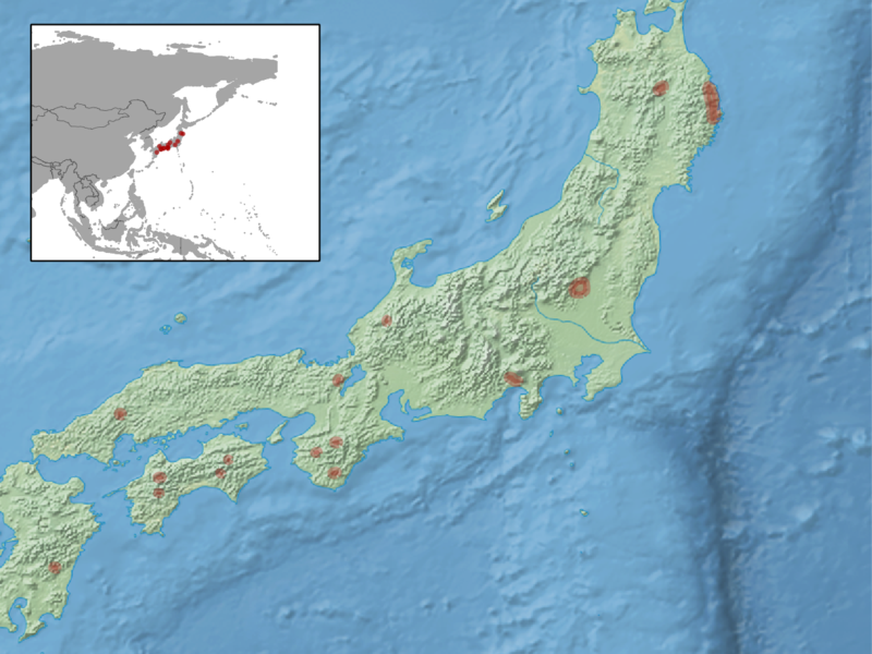 File:Myotis pruinosus distribution.png