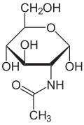 N-Acetyl-D-glucosamin.svg