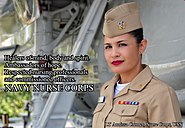 LT Annissa Cromer, NC, USN, 2010.