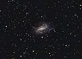 Amatérský snímek NGC 925