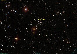 NGC 1146