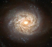 NGC 3982 - Hubble space telescope, 2003.jpg