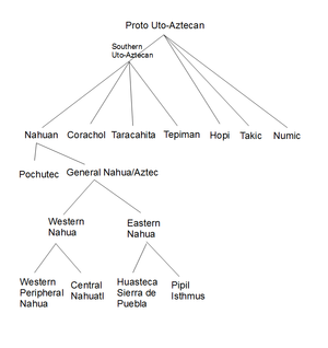 Nahuan classification.png