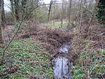 Naturschutzgebiet Riedbachaue