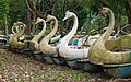 * Nomination Abandoned swan boats in Thúy Sơn park, Ninh Bình --BigDom 13:12, 29 February 2024 (UTC) * Promotion  Support Good quality. --Plozessor 15:41, 29 February 2024 (UTC)