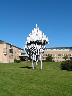 Umeå Universitet: Universitetet i siffror, Historia, Organisation