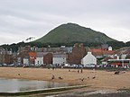 Wyspa - Fidra, North Berwick, East Lothian, Szkocj