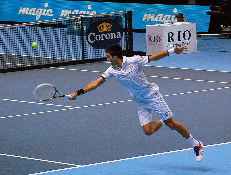 File:Novak Djokovic (8155421947).jpg