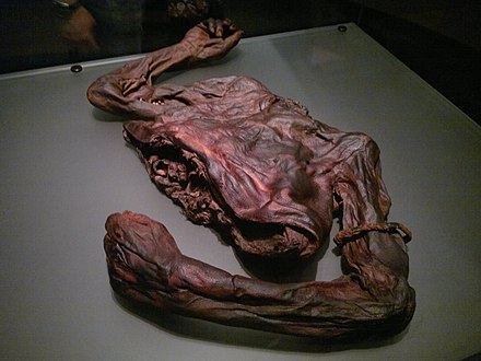 A bog body in the Archaeology Museum