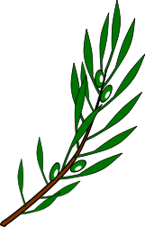 File:Olive branch drawing.svg