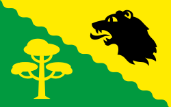 Vlag van de gemeente Põhja-Pärnumaa