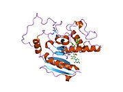 PDB 1lzj EBI.jpg