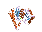 2czi: Crystal structure of human myo-inositol monophosphatase 2 (IMPA2) with calcium and phosphate ions