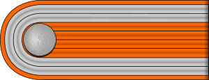 PSP-Zugführer h.svg