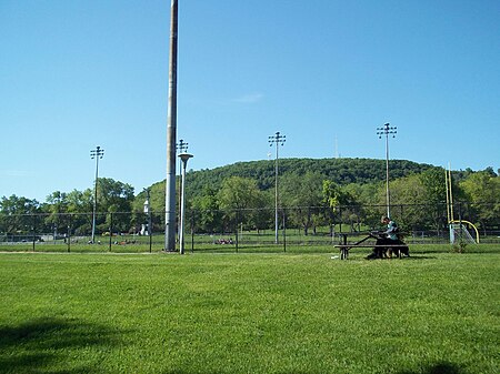 Parc Jeanne Mance 33